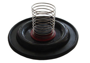 PPI-47 Safety Valve with Spring BS-2 model